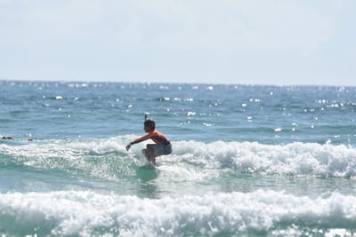 DSC_5049.JPG