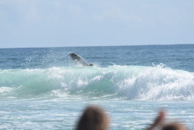 DSC_5135.JPG