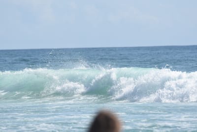 DSC_5136.JPG
