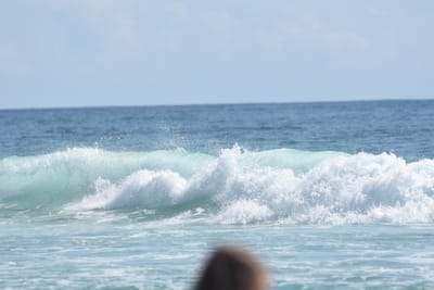 DSC_5137.JPG