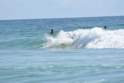 DSC_5164.JPG