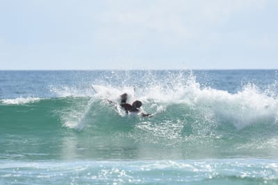 DSC_5186.JPG