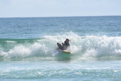 DSC_5221.JPG