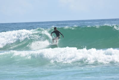 DSC_5310.JPG