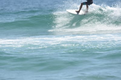 DSC_5325.JPG
