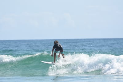DSC_5334.JPG
