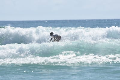 DSC_5367.JPG
