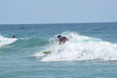 DSC_5419.JPG