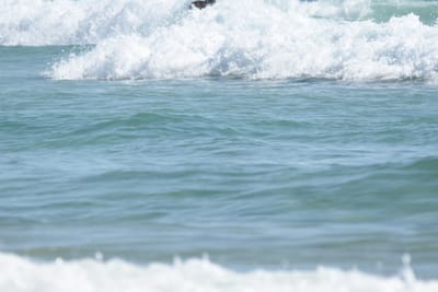 DSC_5423.JPG