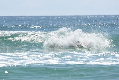 DSC_5452.JPG