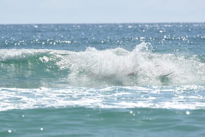 DSC_5453.JPG