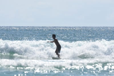 DSC_5478.JPG