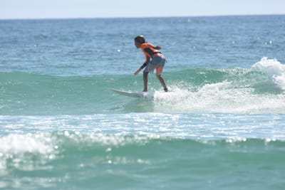 DSC_5522.JPG