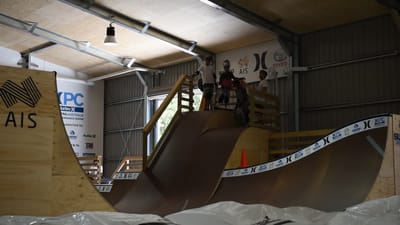 DSC_1135.MOV