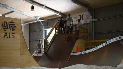 DSC_1137.MOV