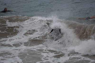 DSC_5565.JPG