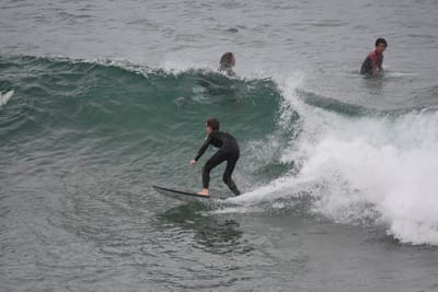 DSC_5568.JPG