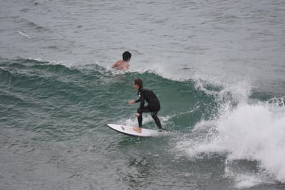 DSC_5571.JPG