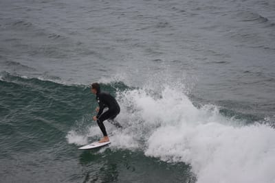 DSC_5574.JPG