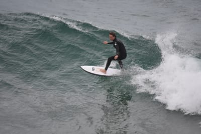 DSC_5575.JPG