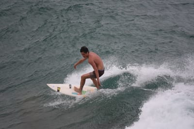 DSC_5593.JPG