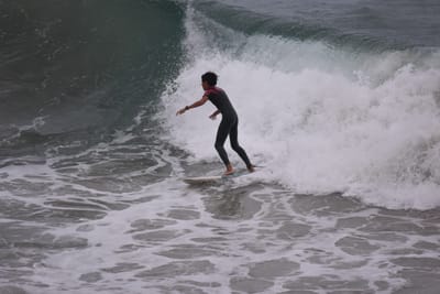 DSC_5600.JPG