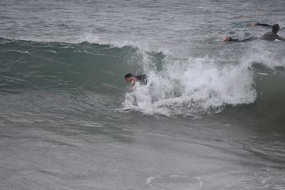 DSC_5605.JPG