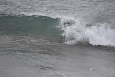 DSC_5606.JPG