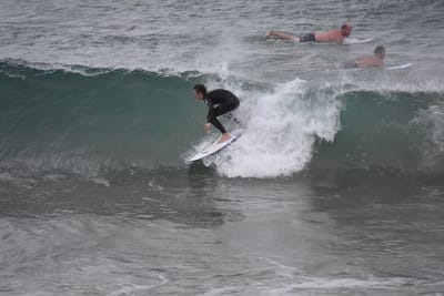 DSC_5608.JPG