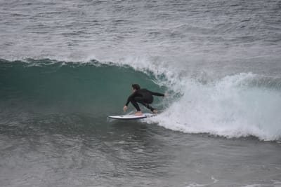DSC_5610.JPG