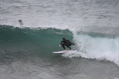 DSC_5611.JPG