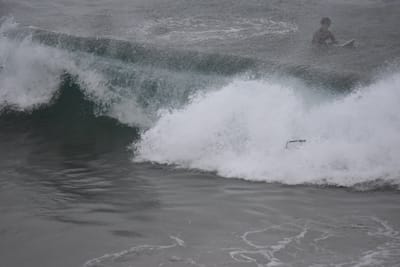 DSC_5617.JPG
