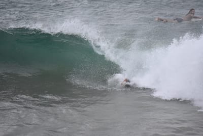 DSC_5622.JPG