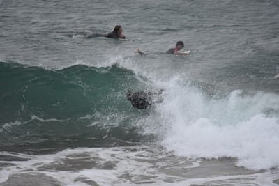 DSC_5625.JPG