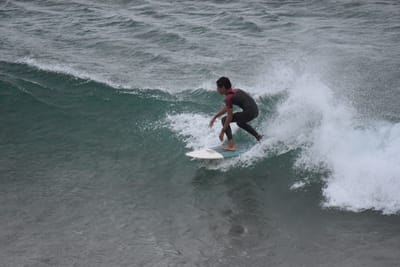 DSC_5637.JPG