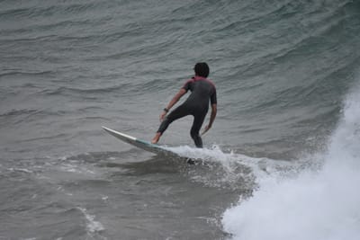 DSC_5685.JPG