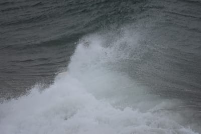 DSC_5689.JPG
