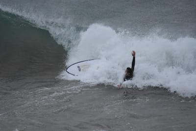 DSC_5698.JPG