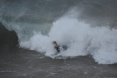 DSC_5702.JPG