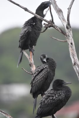 DSC_5746.JPG