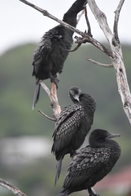 DSC_5747.JPG