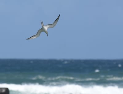 DSC_5772.JPG