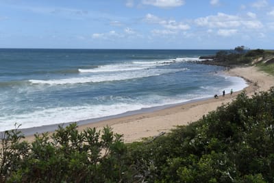 DSC_1198.JPG