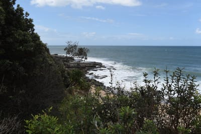 DSC_1199.JPG
