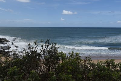 DSC_1200.JPG