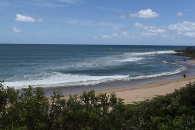 DSC_1201.JPG