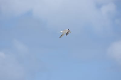 DSC_5779.JPG