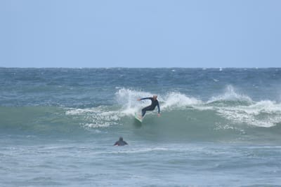 DSC_5892.JPG