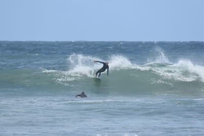 DSC_5893.JPG