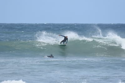 DSC_5894.JPG